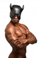 Master Series Dungeon Demon Bondage Hood