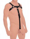 English Bull Dog Leather Harness W Cock Strap