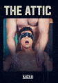 Attic, The